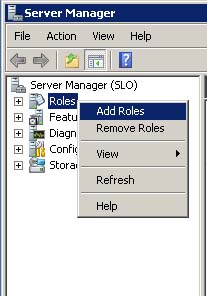 select add roles